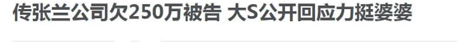 大S的最后两年时光：前夫的呛声、现任的恩爱，都成了桎梏（组图） - 7