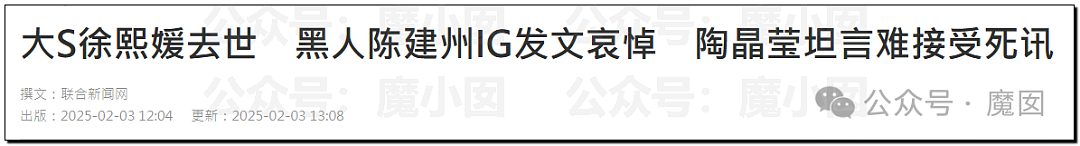 大S徐熙媛猝然去世，遗体在日本火化！导游爆料指出凶手（组图） - 24