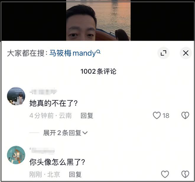 大S去世，网友担忧具俊晔继承更多遗产，孩子无人管（组图） - 15