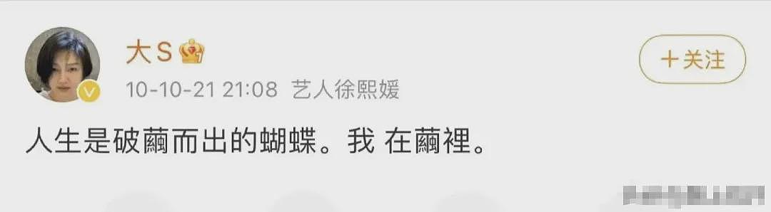 挤爆热搜！大S日本旅游得流感不幸去世享年48，她的身体履历流出原来早有预兆...（视频/组图） - 9