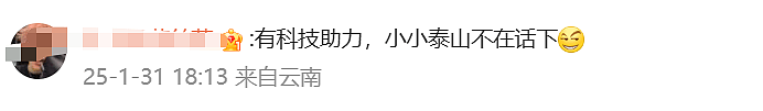 游客爬泰山用上“新神器”，比走路都轻松（组图） - 8