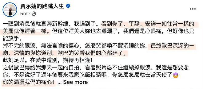 贾永婕发文还原大S病逝细节：具俊晔痛哭吻别妻子，大S像睡着一样（组图） - 2