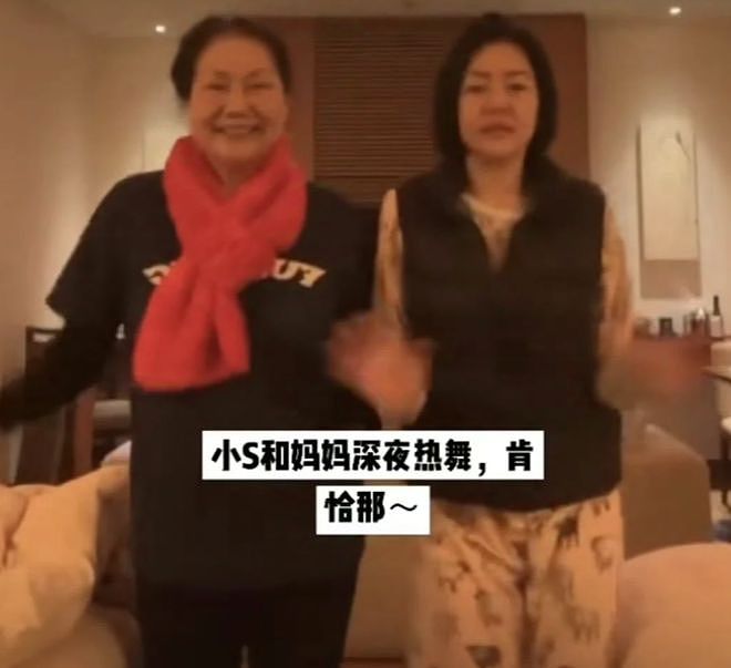 小S被骂害死大S！本人悲伤过度难以支撑，向节目组请假无限期停工（组图） - 21