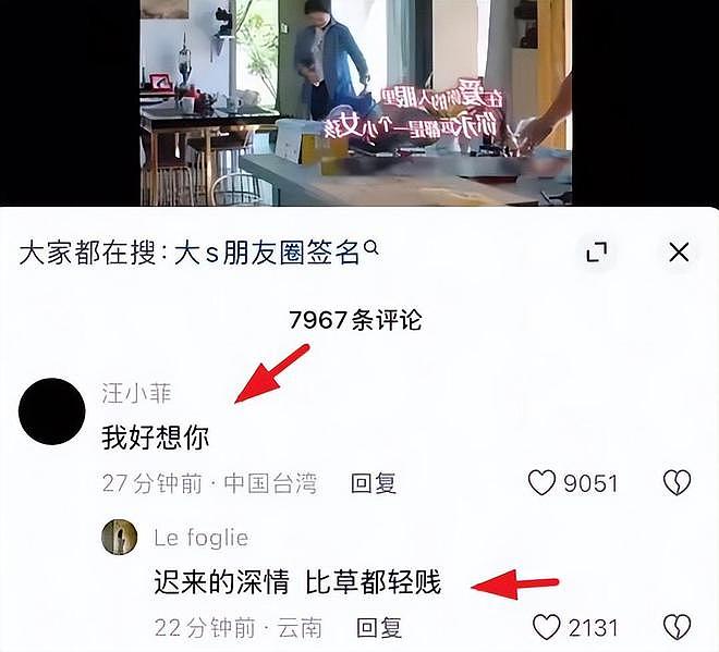 张颖颖说大S婚后遍体鳞伤，细数汪小菲对大S的20多条伤害（组图） - 13