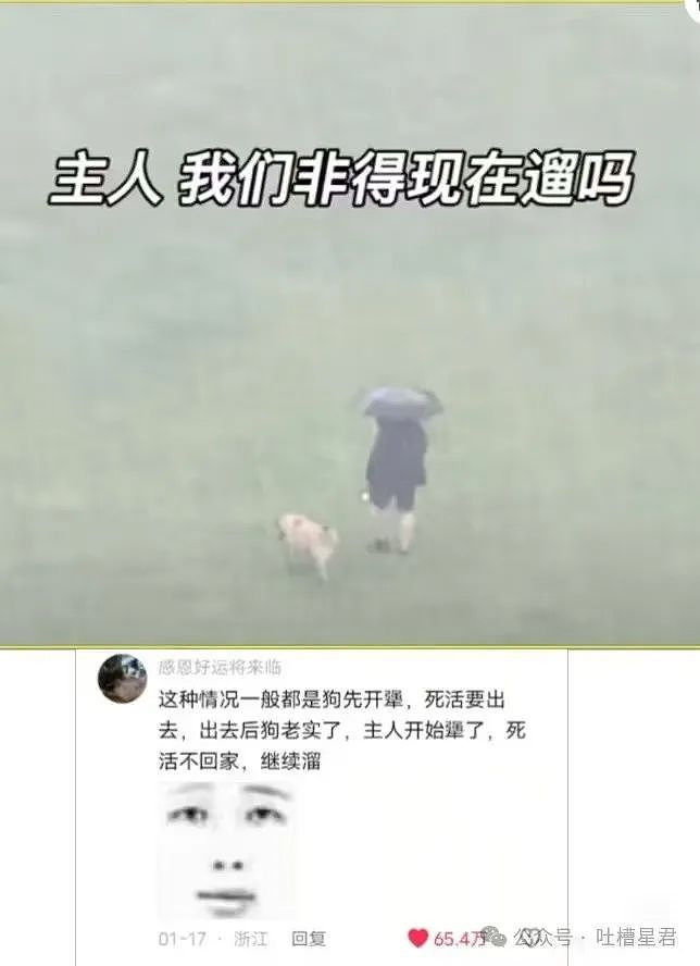 【爆笑】妈妈在集市上斥巨资买的手机...？网友：买到隐藏款了（组图） - 17