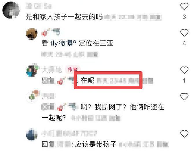 7个离异女星的春节：杨颖有儿子陪伴，陈思诚佟丽娅都在海南（组图） - 11