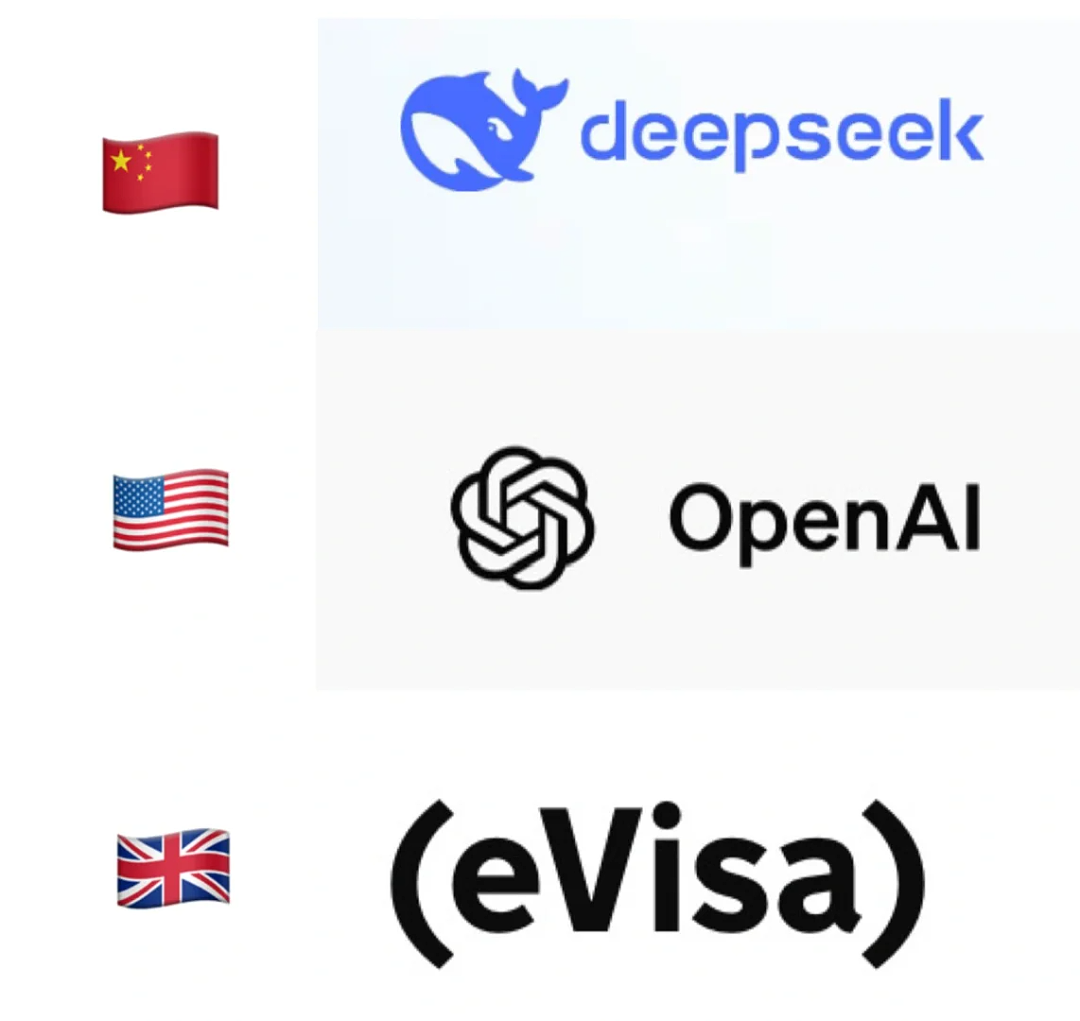 DeepSeek被英区留子玩出花了？网友：当中美在卷AI，英国还在搞eVisa（组图） - 8