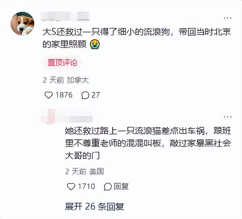 曝大S生前遗言，告别式要办得开心欢乐，曾以10年阳寿为爱犬许愿（组图） - 11