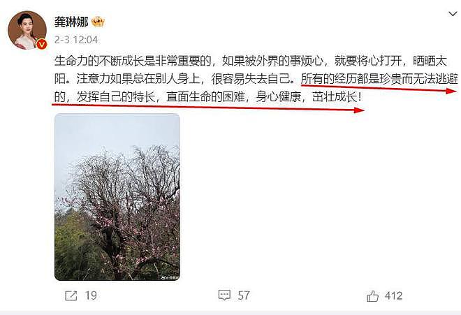 7个离异女星的春节：杨颖有儿子陪伴，陈思诚佟丽娅都在海南（组图） - 21