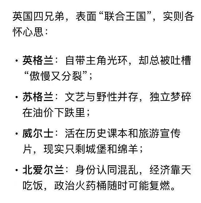 DeepSeek被英区留子玩出花了？网友：当中美在卷AI，英国还在搞eVisa（组图） - 26