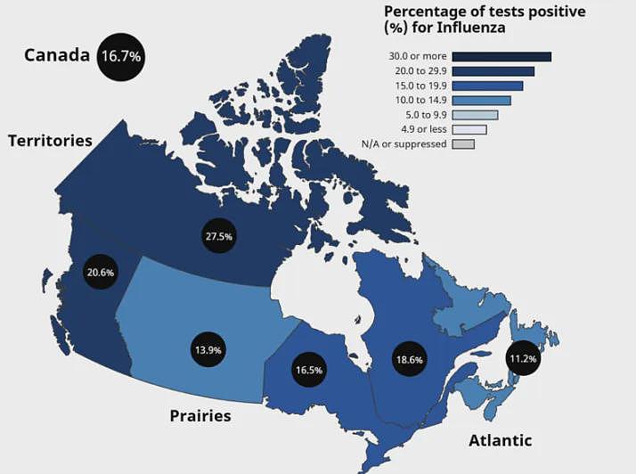 流感大爆发！加拿大感染飙升，大批华人中招！10天病3次！被大S悲剧吓坏，华人抢打疫苗...（组图） - 2