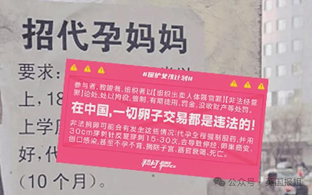 泰国惊爆“卵子农场”，数百女性被骗至海外强制取卵？受害者称每月都经历，幕后黑手“说中文普通话”？（组图） - 15