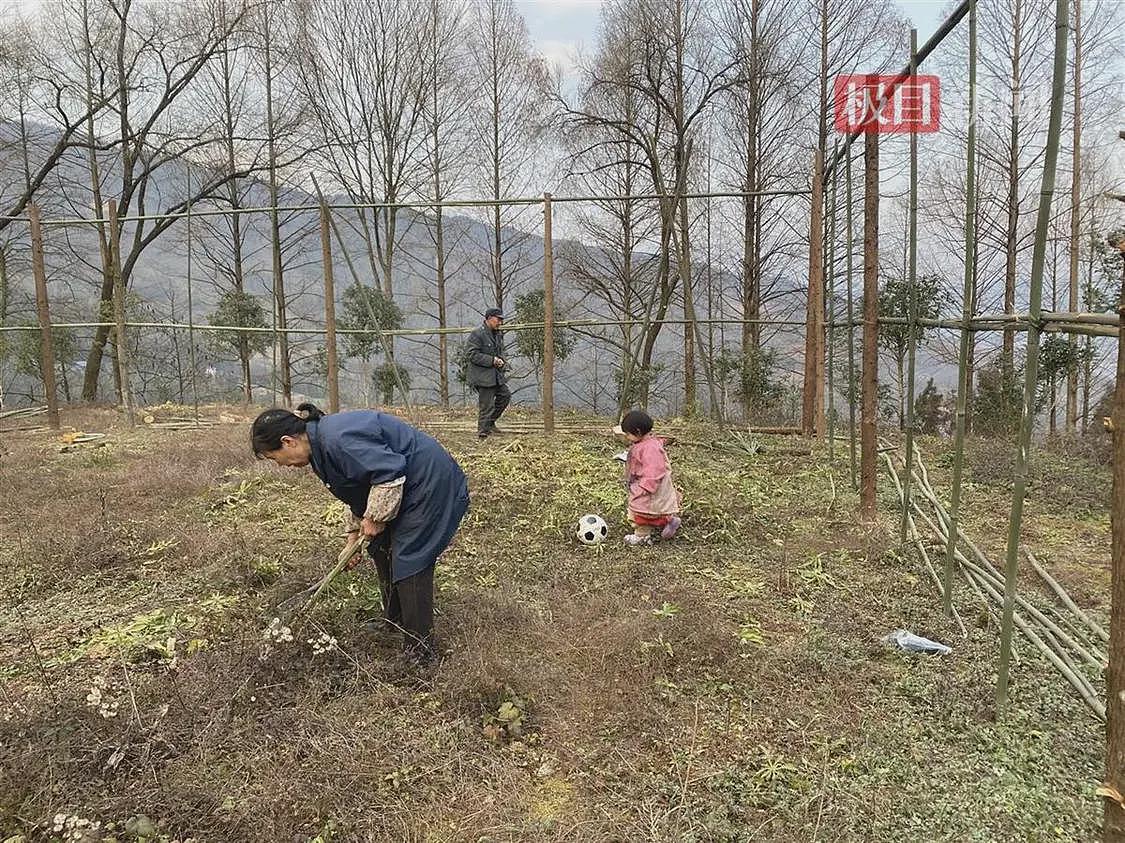 爷爷实力宠孙女，用竹木手工打造160平方米笼式足球场，仅花费240余元（组图） - 2