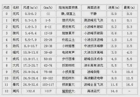 罕见！北京出现12级大风，网友：差点被吹飞（组图） - 11