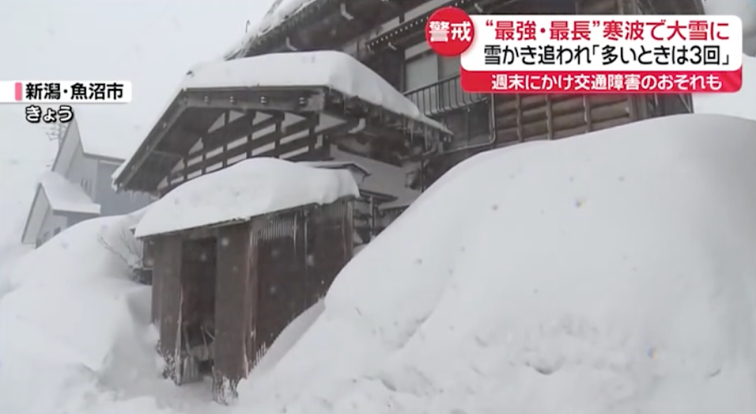 日本一夜下1米多大雪！车被埋掉，出门像挖地道，太糟心...（组图） - 2