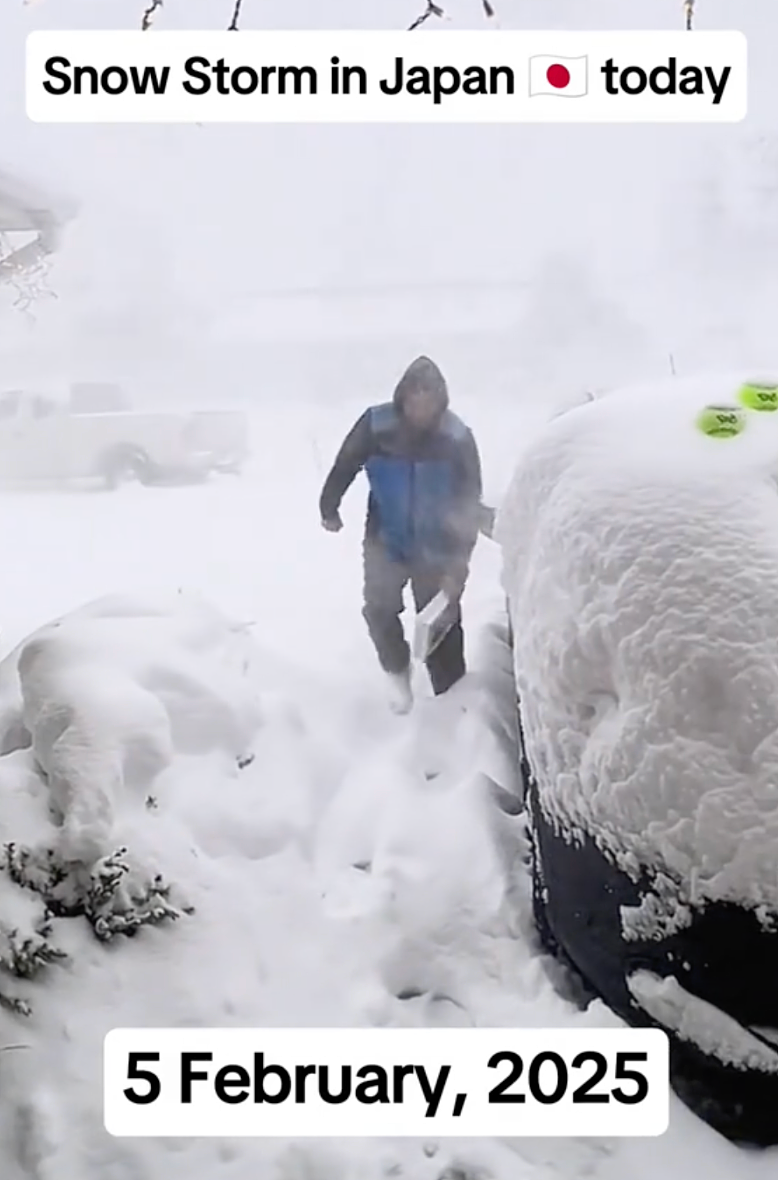 日本一夜下1米多大雪！车被埋掉，出门像挖地道，太糟心...（组图） - 7