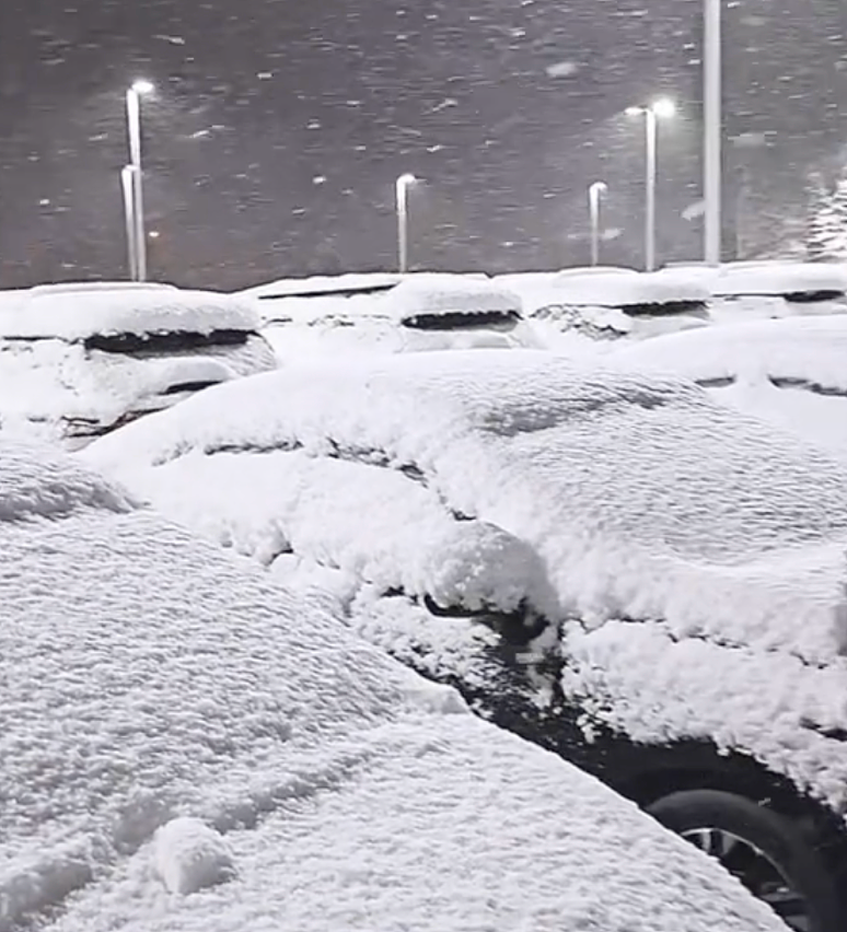 日本一夜下1米多大雪！车被埋掉，出门像挖地道，太糟心...（组图） - 9