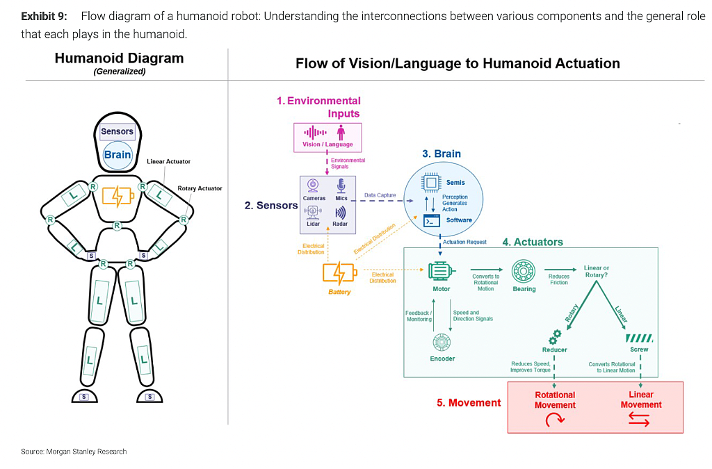 中国公司主导身体，英伟达做大脑，特斯拉做“整合”——摩根士丹利详解全球人形机器人100强（组图） - 3