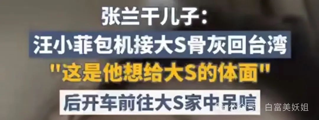 具俊晔宣布放弃大S遗产，阴阳汪小菲，要抢抚养权（组图） - 5