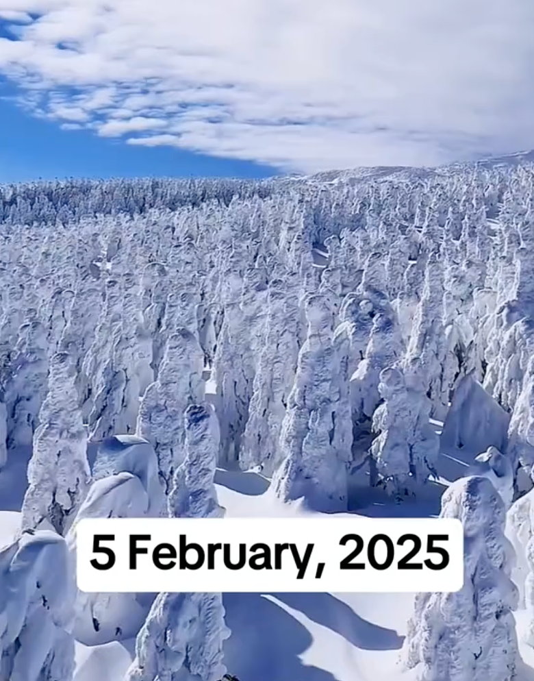 日本一夜下1米多大雪！车被埋掉，出门像挖地道，太糟心...（组图） - 12