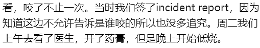 墨尔本东南区幼儿园离大谱，孩子反复被咬伤！华人宝妈紧急求助（组图） - 4