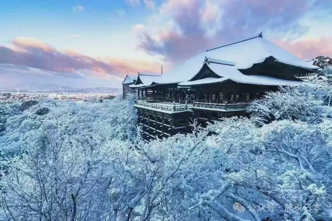 你不知道，日本的雪到底有多大，根本出不了门（组图） - 21