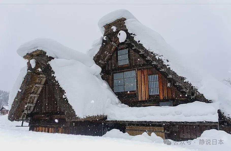 你不知道，日本的雪到底有多大，根本出不了门（组图） - 6