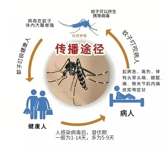 严重可致命！澳人最爱的旅游目的地之一爆发传染病疫情，病例激增！（组图） - 4