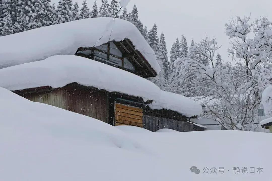 你不知道，日本的雪到底有多大，根本出不了门（组图） - 2