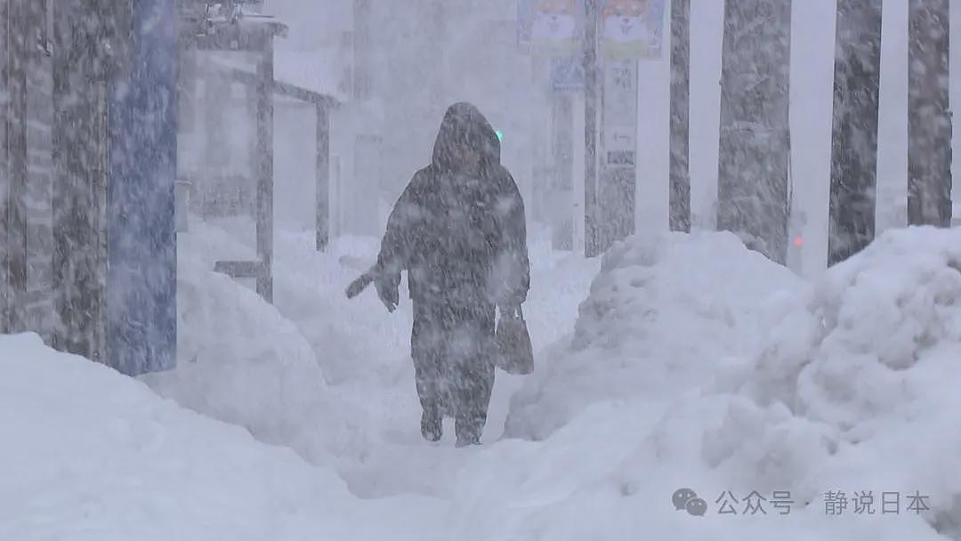 你不知道，日本的雪到底有多大，根本出不了门（组图） - 4