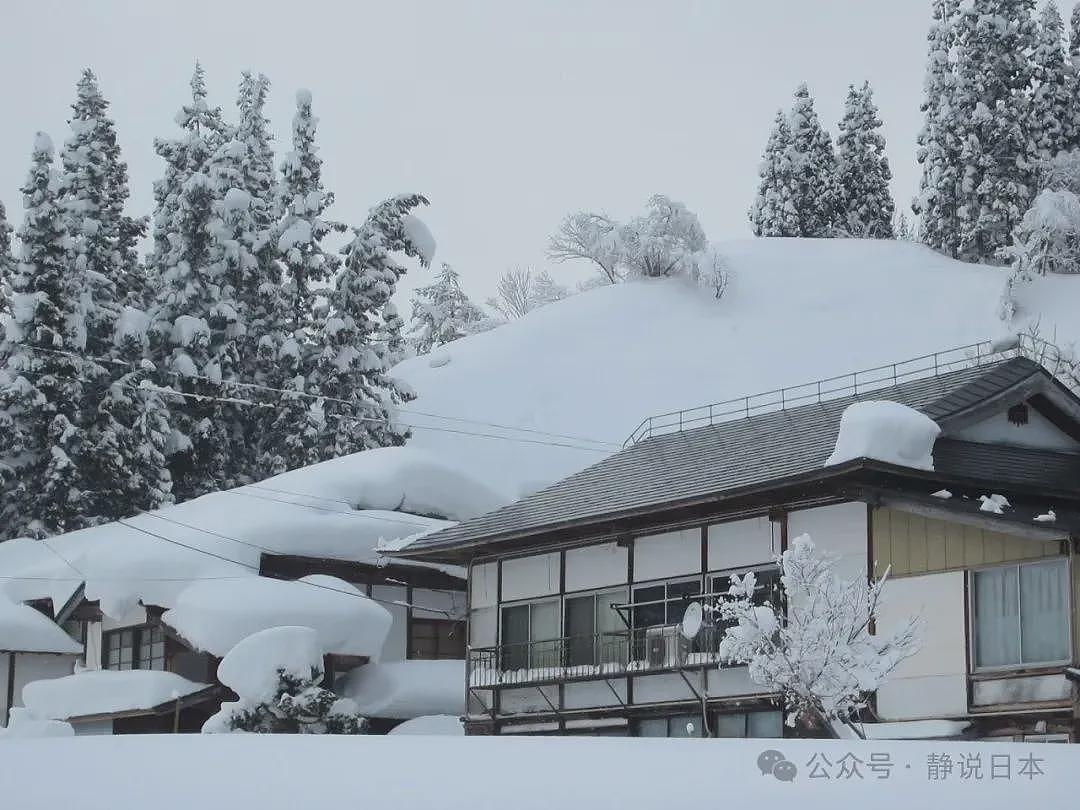 你不知道，日本的雪到底有多大，根本出不了门（组图） - 16