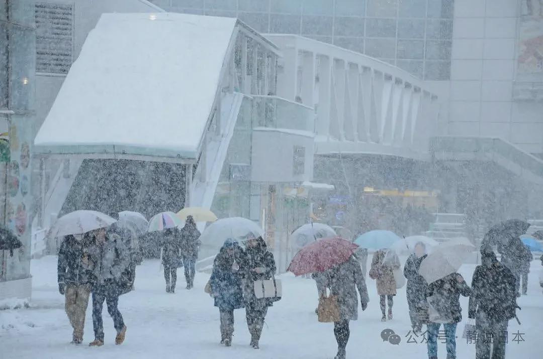 你不知道，日本的雪到底有多大，根本出不了门（组图） - 12