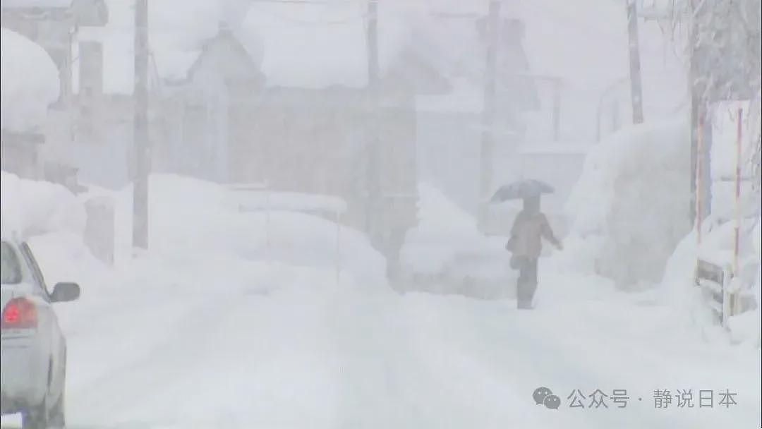 你不知道，日本的雪到底有多大，根本出不了门（组图） - 11