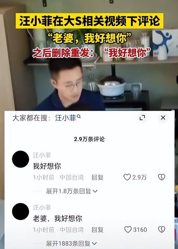 匆忙火化又无告别式，大S死因陷疑云，手腕上诸多针孔痕迹（组图） - 23