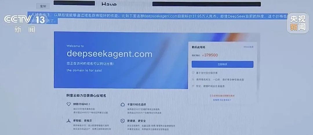 DeepSeek现超2000个山寨网站，60%解析IP位于美国（组图） - 1