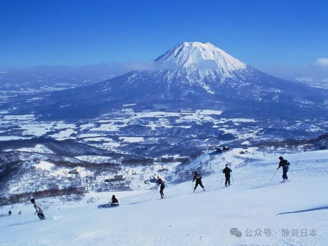 你不知道，日本的雪到底有多大，根本出不了门（组图） - 8