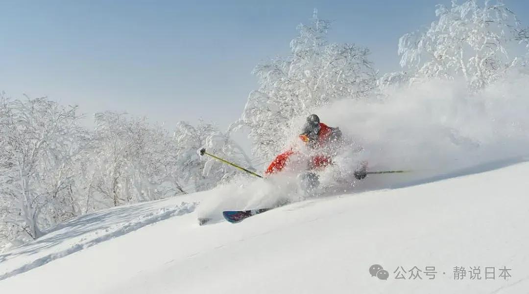 你不知道，日本的雪到底有多大，根本出不了门（组图） - 9