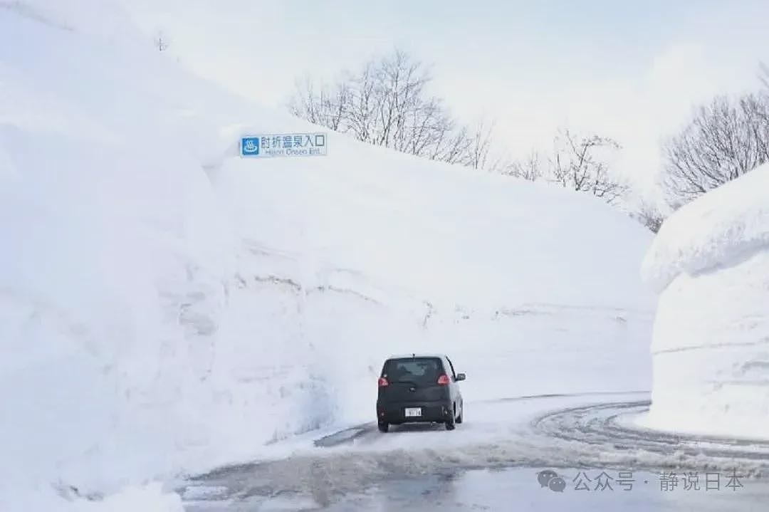 你不知道，日本的雪到底有多大，根本出不了门（组图） - 28