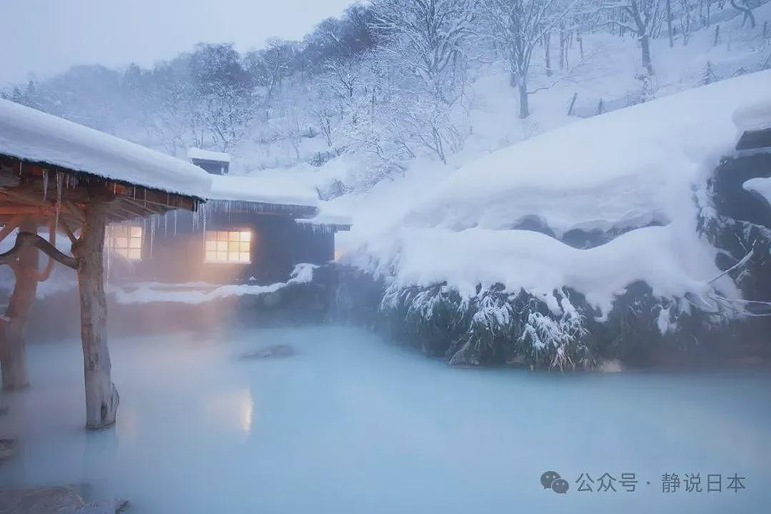 你不知道，日本的雪到底有多大，根本出不了门（组图） - 29