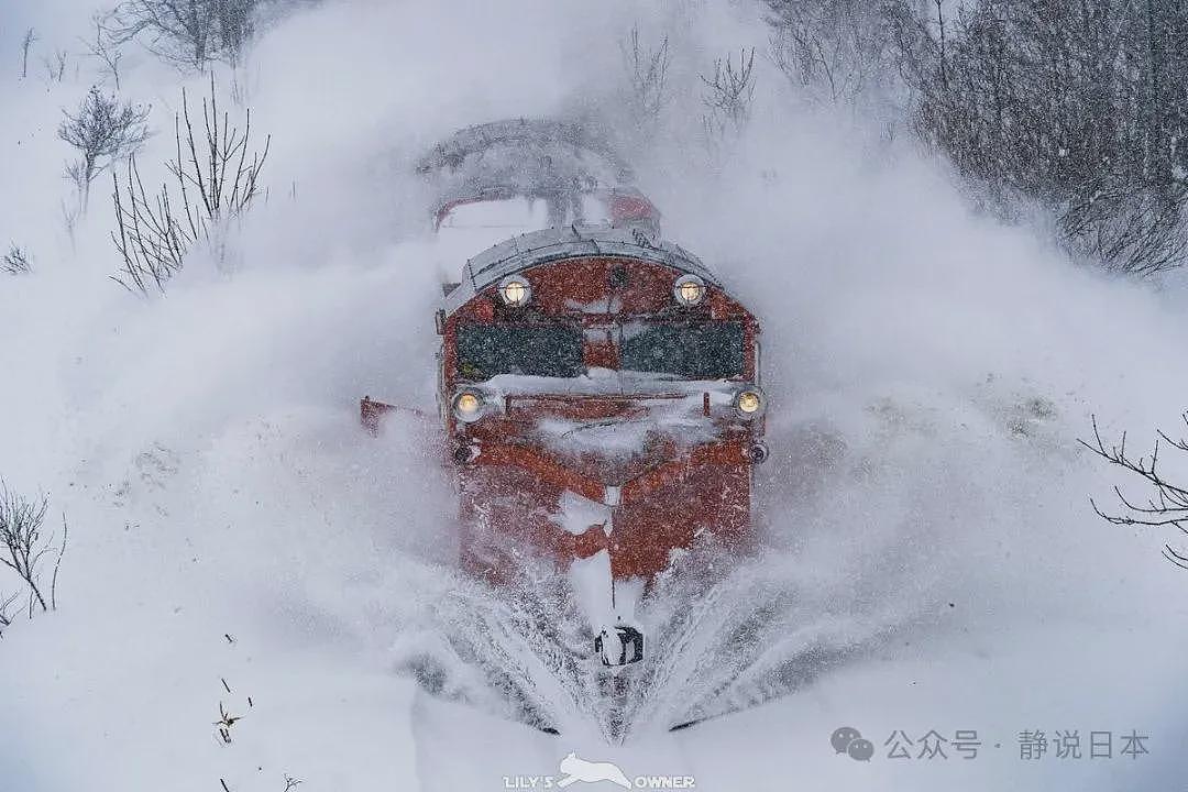 你不知道，日本的雪到底有多大，根本出不了门（组图） - 18