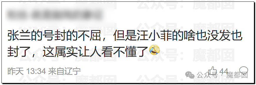 网传《谭谈交通》停播和谭乔离职和她有关？网络疯传真相是？（组图） - 23