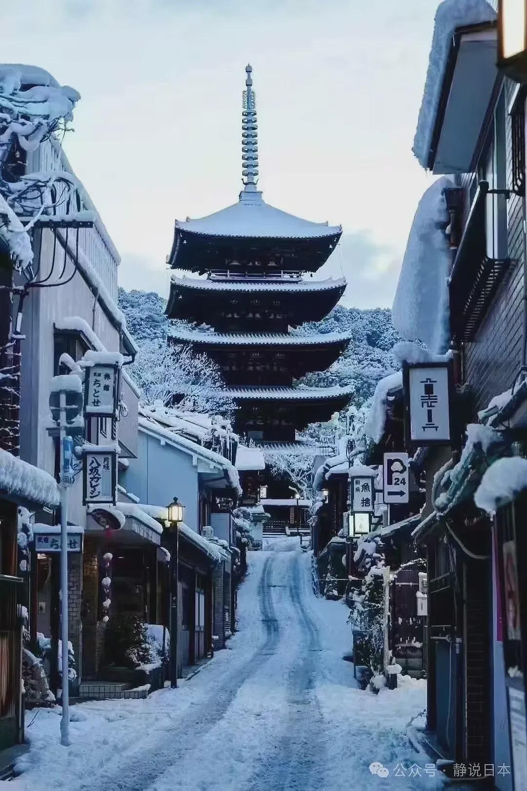 你不知道，日本的雪到底有多大，根本出不了门（组图） - 20