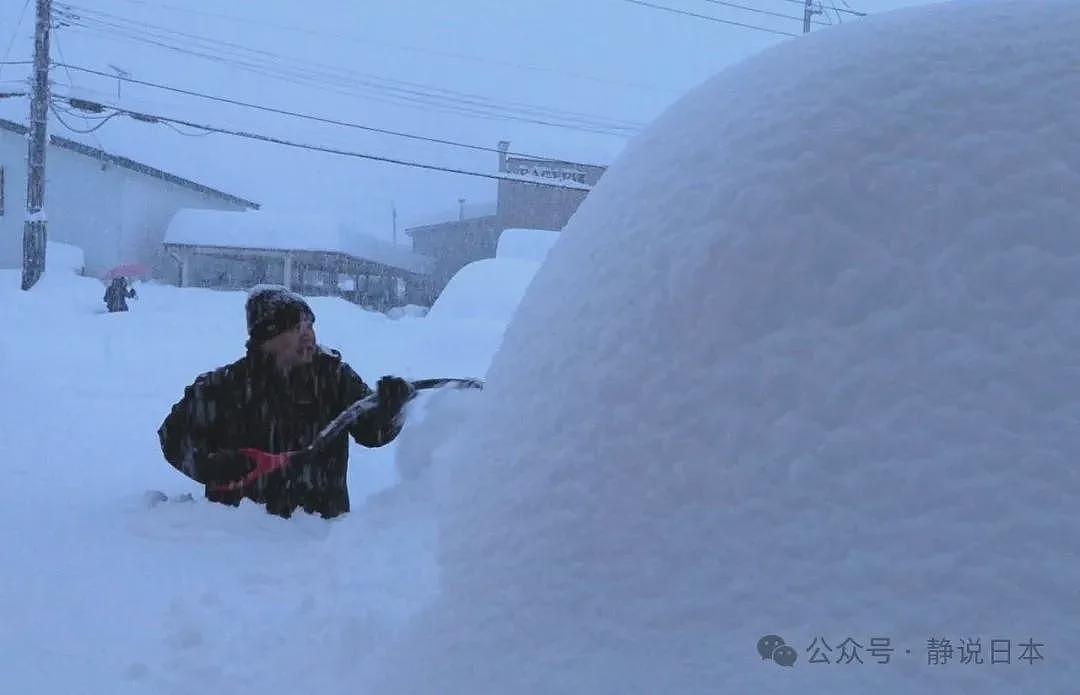 你不知道，日本的雪到底有多大，根本出不了门（组图） - 13