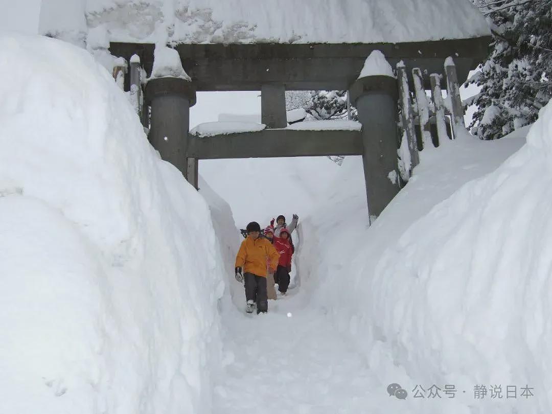 你不知道，日本的雪到底有多大，根本出不了门（组图） - 10