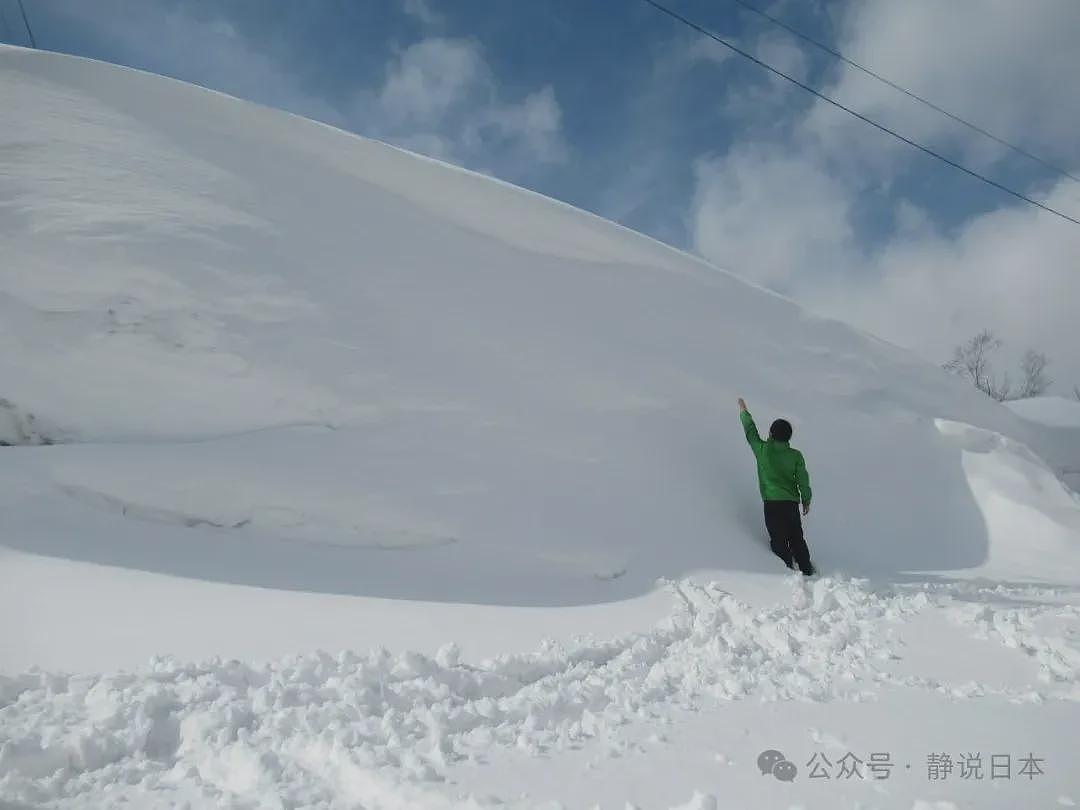 你不知道，日本的雪到底有多大，根本出不了门（组图） - 5