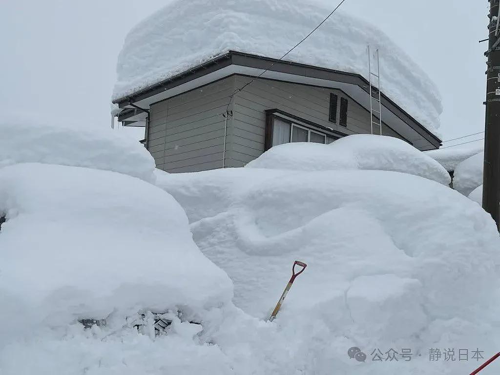 你不知道，日本的雪到底有多大，根本出不了门（组图） - 1