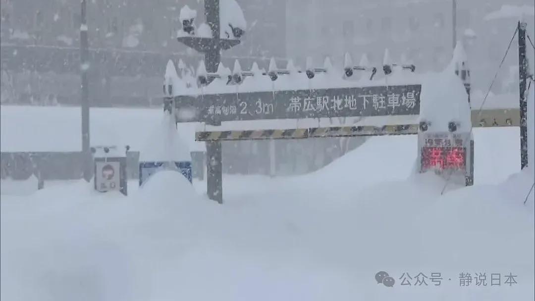 你不知道，日本的雪到底有多大，根本出不了门（组图） - 15