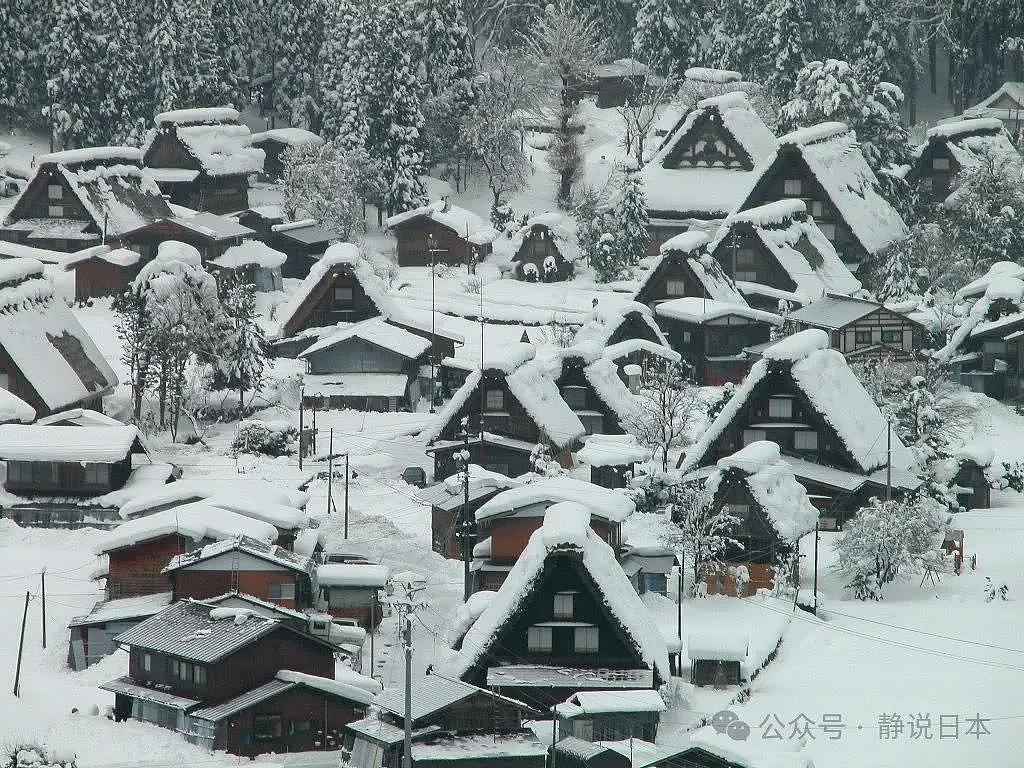 你不知道，日本的雪到底有多大，根本出不了门（组图） - 7