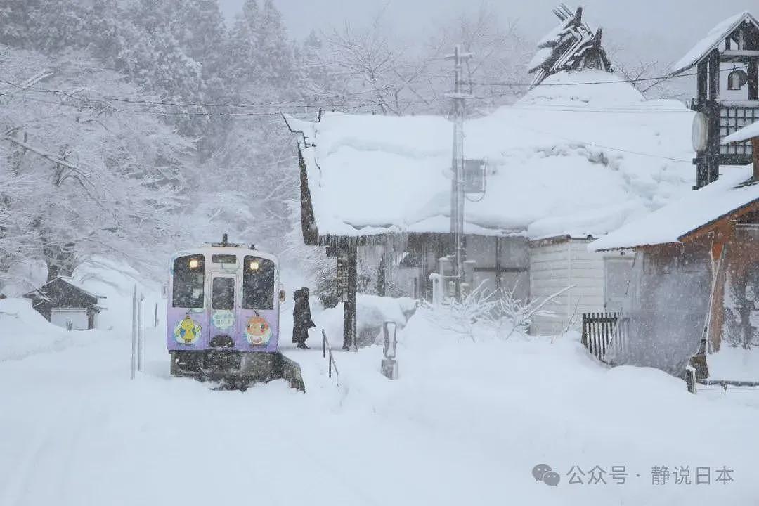 你不知道，日本的雪到底有多大，根本出不了门（组图） - 19