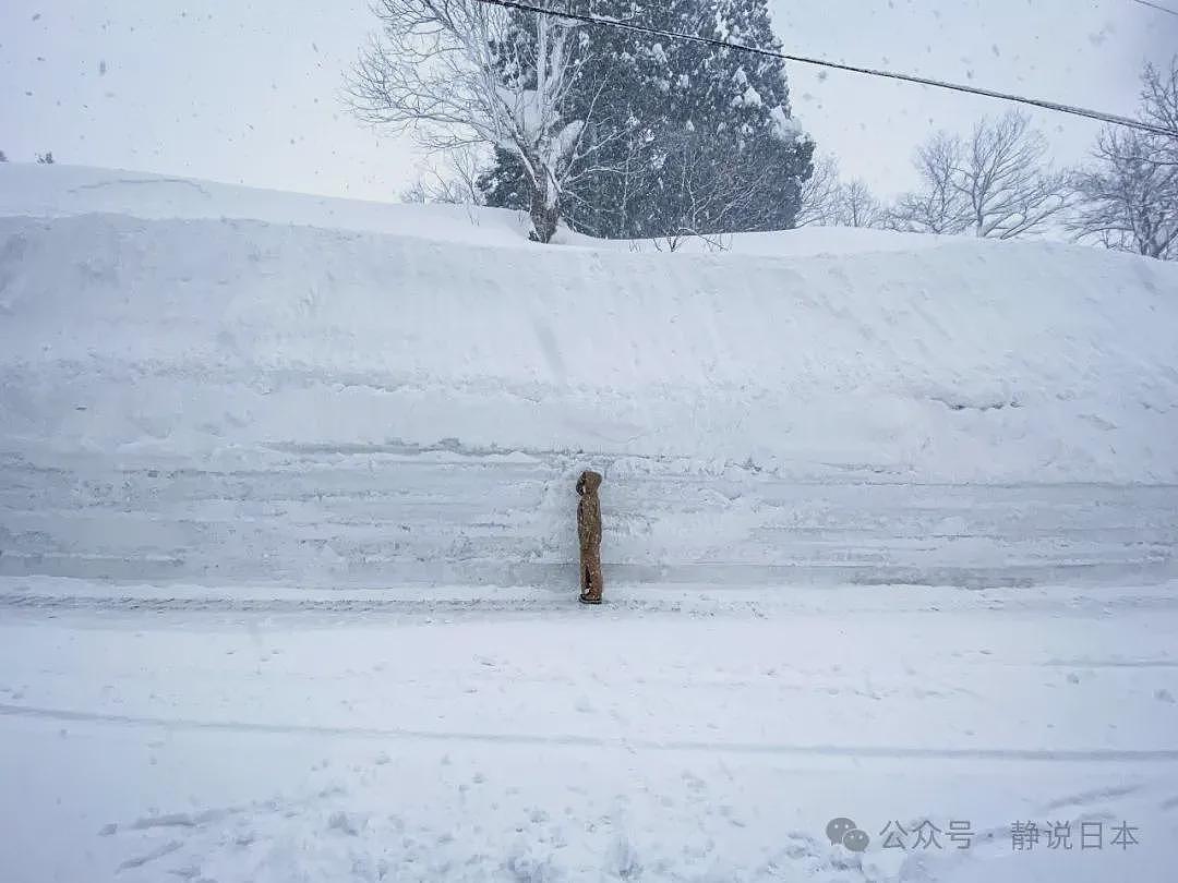 你不知道，日本的雪到底有多大，根本出不了门（组图） - 17